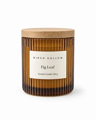 Fig Leaf Candle, a demo product in the library